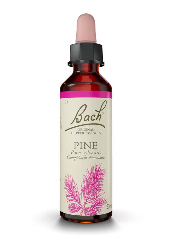 Fleurs de Bach Original N°24 Pine - 20 ml